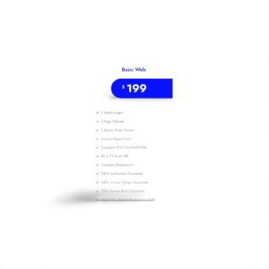 Basic Website Development package
